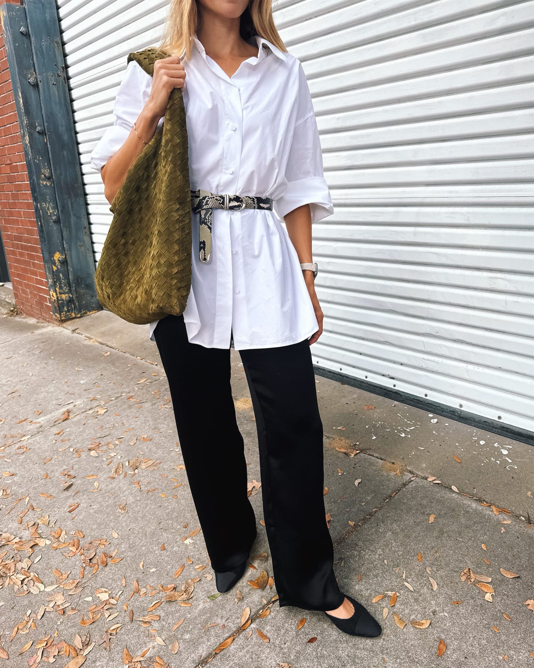 Autumn Authority in Motion