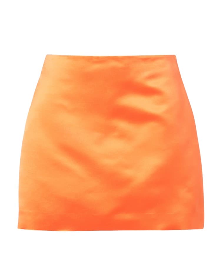 Emilia Wickstead Skirt